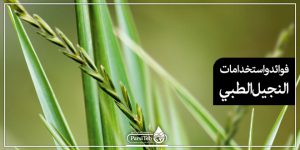 فوائد واستخدامات النجيل الطبي بارسی طب