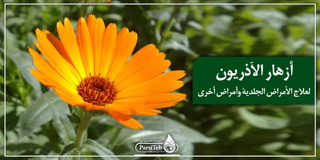 أزهار الآذريون لعلاج الأمراض الجلدية وأمراض أخرى