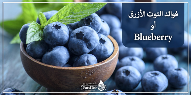 فوائد التوت الأزرق أو Blueberry