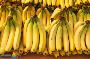 الموز غني من المغنيسيوم ومفيد للحفاظ علي صحة القلب