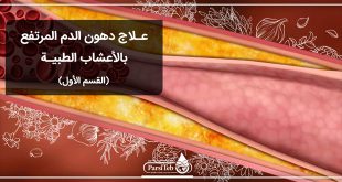 علاج دهون الدم المرتفع بالاعشاب الطبية-القسم الأول