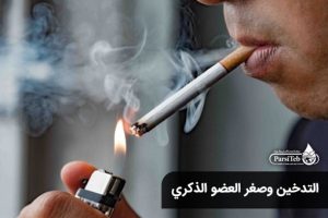 التدخين وصغر العضو الذكري